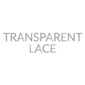 TRANSPARENT LACE WIGS